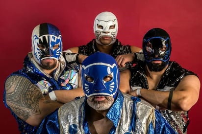 Blue Panther tiene un sueño más por cumplir, ¿qué le falta?