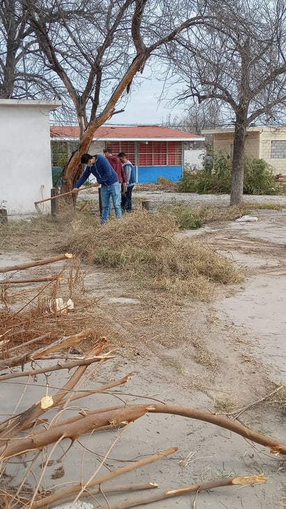 Lobos al Rescate de FIME restauran primarias 