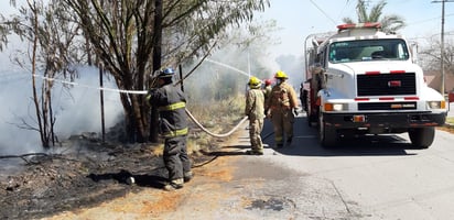 Incendio de maleza obliga evacuar tienda y centro comercial en Monclova                                         