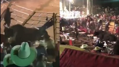 TORO DE MONTA EMBISTIÓ A ESPECTADORES DURANTE JARIPEO EN MICHOACÁN