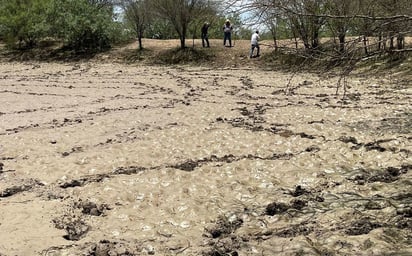 Regiones Centro, Norte y Laguna, las más afectadas por la sequía en Coahuila