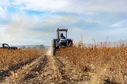 La guerra impacta el uso de fertilizantes en el campo