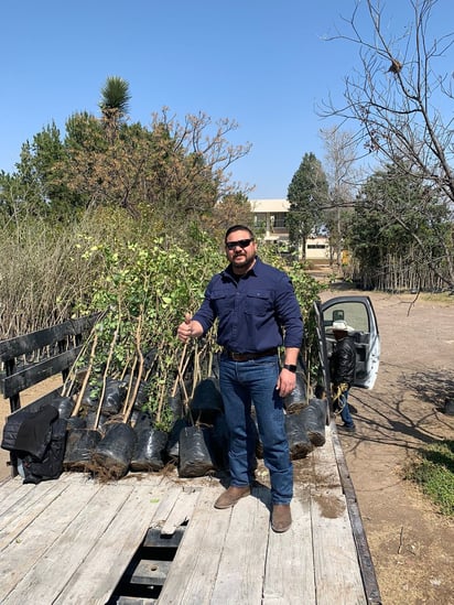 'Plantar un árbol es formar vida, ilusiones e historia'