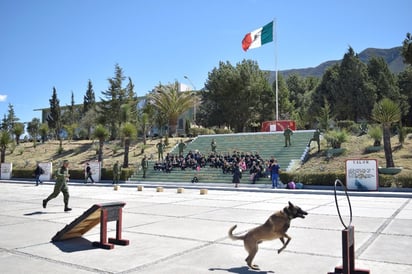 Ejército invita a paseo dominical en la 6/a Zona Militar