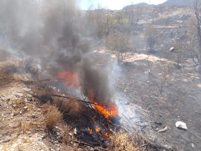 Vecinos de la colonia Asturias combaten incendio