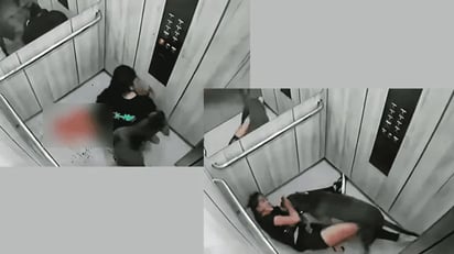 VIDEO: Brutal ataque de perro Pitbull a mujer en un elevador de Colombia