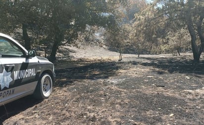 Logran liquidar incendio en bosque La Primavera, en Zapopan