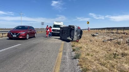 Dama vuleca en la carretera Monclova-Sabinas