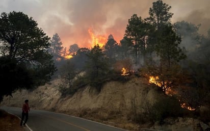 Arteaga sin riesgo por incendio en Santiago N.L.