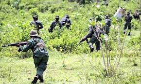 Un hombre pierde un pie tras pisar un explosivo en la frontera venezolana