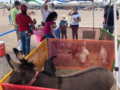 Tianguis Agropecuario de la Región para ganaderos y agricultores 