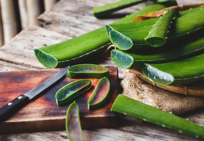 El jugo de aloe vera se ha hecho tendencia en tiktok, conoce por qué todos lo están bebiendo