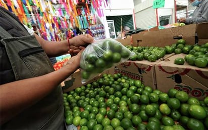 En Morelos la cosecha de limón es un trabajo duro