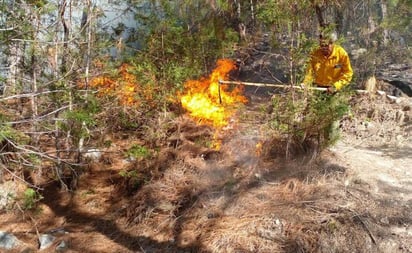 Controlan al 100% incendio en la Mixteca de Oaxaca