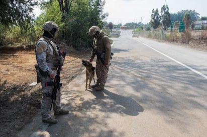 Un hombre herido de bala en nuevo ataque contra camiones en el sur de Chile