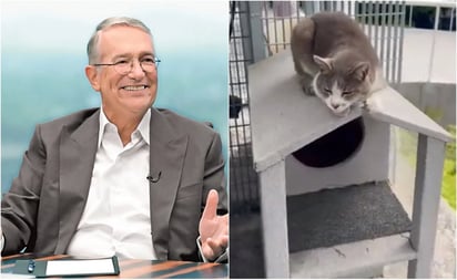 Ricardo Salinas presenta a la mascota que cuida de TV Azteca