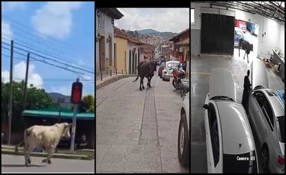 Clausura de rastro provoca enfrentamiento entre empleados y policías