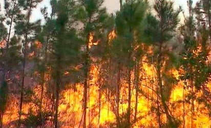 Cuba mantiene lucha contra un gran incendio forestal en el oeste de la isla