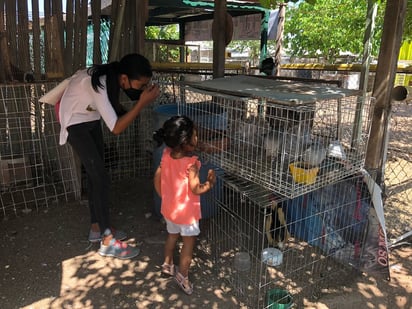 Aviario de Monclova celebra el Día del Niño 