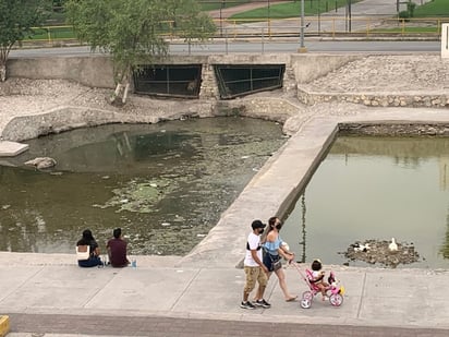 Ecología mantiene limpieza en el Río Monclova 