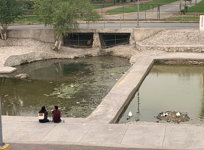 Ecología mantiene limpieza en el Río Monclova 