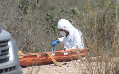 Hallan el cuerpo de una mujer en Puerto Vallarta