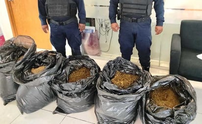 Dejan 150 kilos de marihuana en calles de Morelos