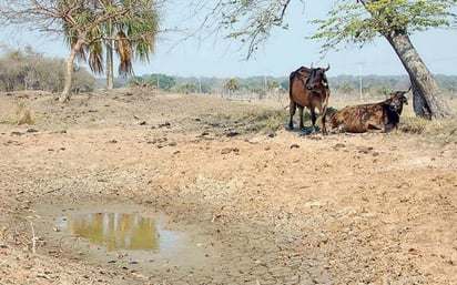 Sequía en 32 municipios de Coahuila; se agrava en medio de ola de calor