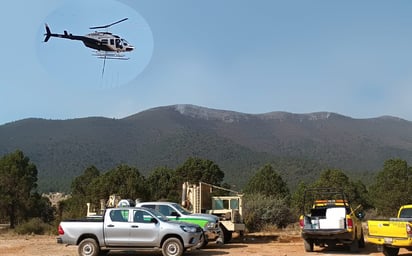 Continúa el control al incendio en Arteaga, Coahuila, tras extenderse este fin de semana