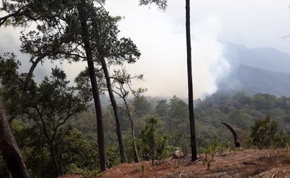 Cumple 7 días incendio forestal en la Mixteca de Oaxaca