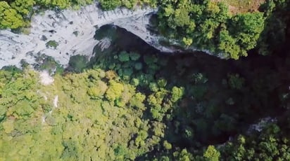 Descubren en China enorme bosque subterráneo