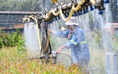 GCDMX invertirá 4 mil 200mdp en zonas rurales y forestales