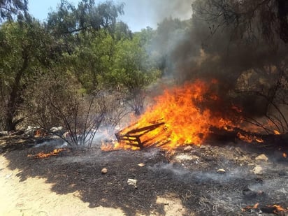 Registran incendio forestal en la Sierra de Guadalupe de Edomex