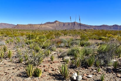 Los cepedenses sufren desabasto de agua