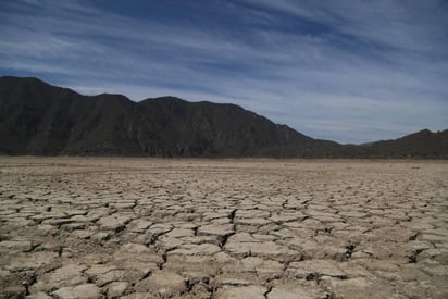 ICAI deberá resolver sobre indebida reserva de información de Agsal