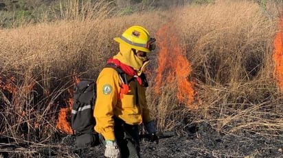 35 lotes baldíos incendiados en 17 días de intenso calor