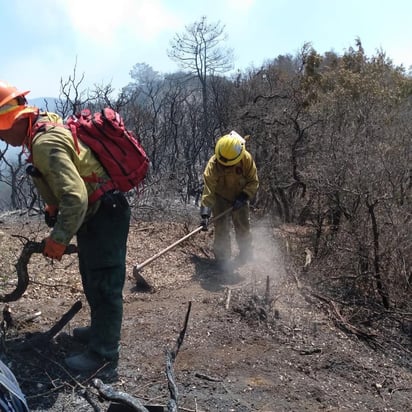 Fraustro Siller: El incendio necesita una mejor planeación 