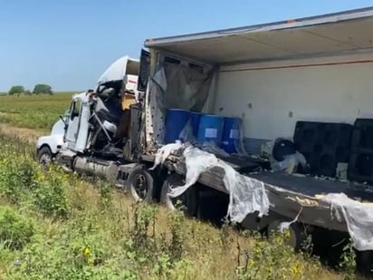 Perros y gatos muertos encontrados en trailer que volcó