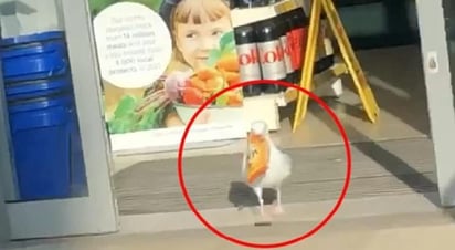 Roba gaviota snacks en tienda y se hace viral