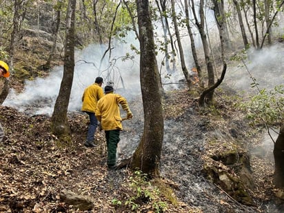 Saltillo apoyará a municipios vecinos en combate a incendios