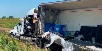 ¿Por qué un tráiler transportaba más de 4 toneladas de cadáveres de perros y gatos?