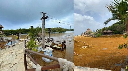 Excesivo sargazo ‘invade’ playas del Caribe mexicano