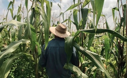 Llaman a crear movimiento para rescatar el campo mexicano