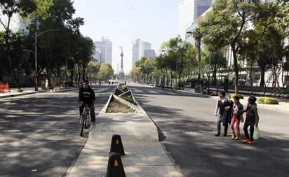 Preparan la glorieta de Paseo de la Reforma para recibir ahuehuete