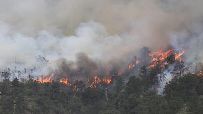 Mayo, el mes de los incendios