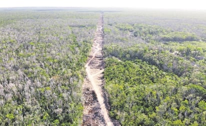 Fonatur: Continuará obra del Tren Maya, pese a suspensión definitiva