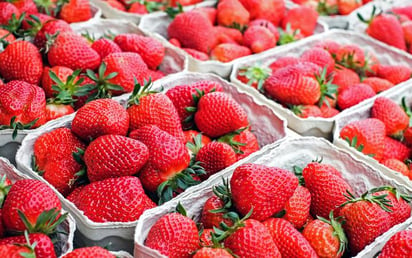 EU investiga casos de hepatitis vinculados a fresas contaminadas