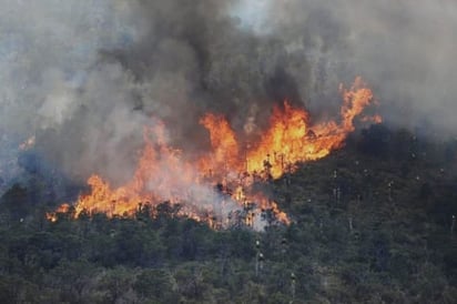 Entregan más equipo a brigadistas a cargo de incendios en la zona norte