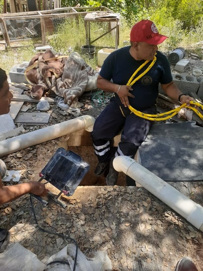 Bomberos rescatan a perrita que cayó 15 metros en noria