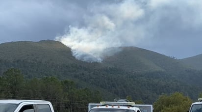 Brigadistas combaten incendio en Arteaga